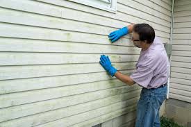 Best Insulated Siding Installation  in East Grand Forks, MN